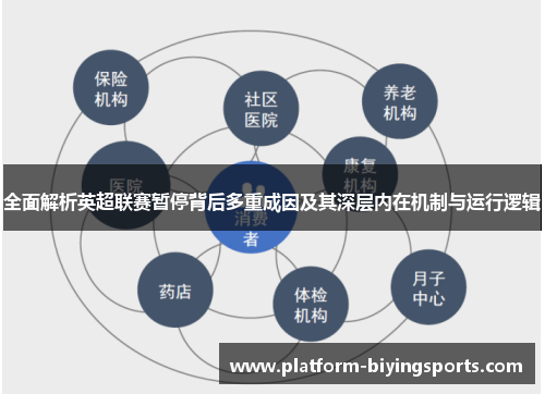 全面解析英超联赛暂停背后多重成因及其深层内在机制与运行逻辑