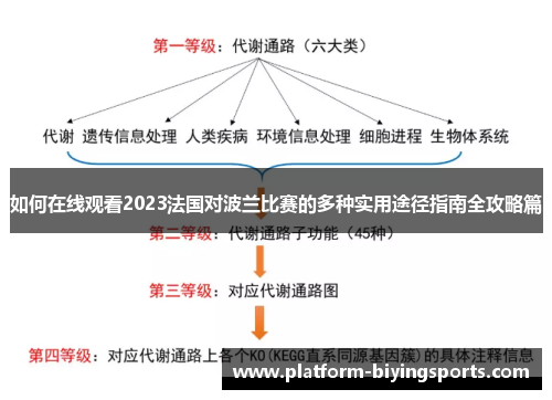 如何在线观看2023法国对波兰比赛的多种实用途径指南全攻略篇