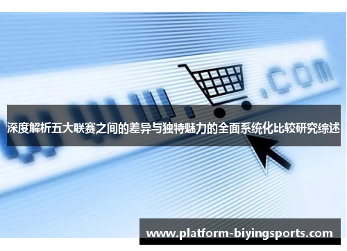 深度解析五大联赛之间的差异与独特魅力的全面系统化比较研究综述
