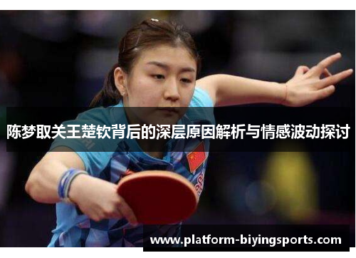 陈梦取关王楚钦背后的深层原因解析与情感波动探讨