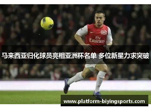 马来西亚归化球员亮相亚洲杯名单 多位新星力求突破 马来西亚归化球员亮相亚洲杯名单 多位新星力求突破